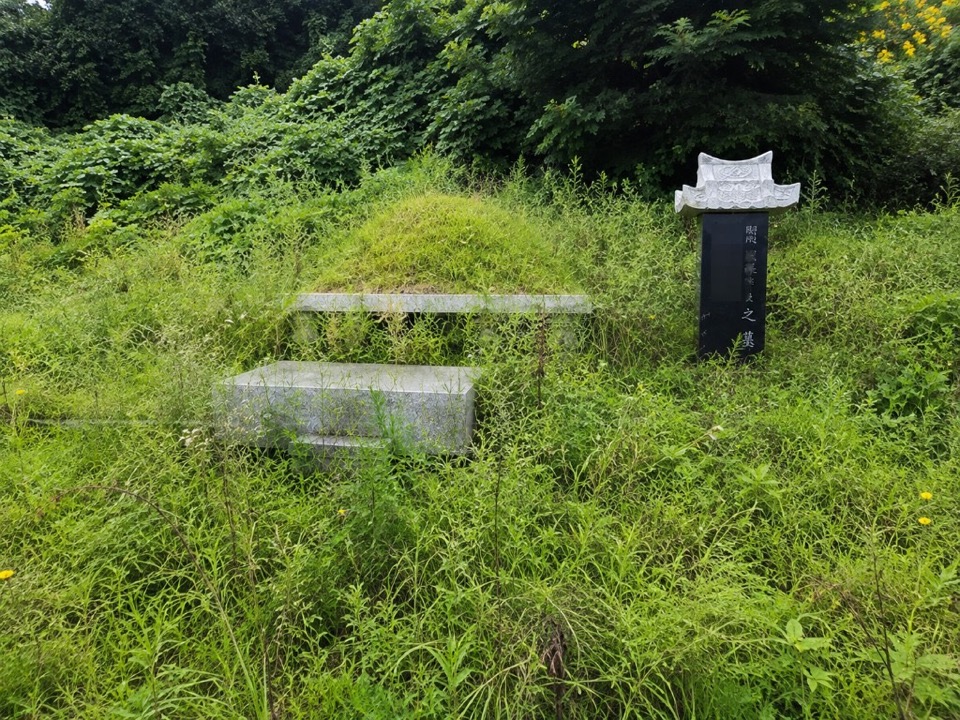 작업 전 — 잡풀이 우거진 봉분과 상석·비석